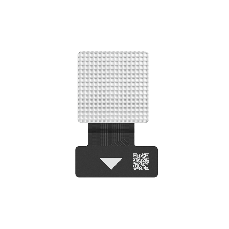 FP5 main camera back